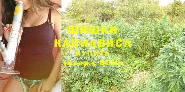 дмт Алзамай