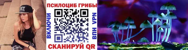 Псилоцибиновые грибы мицелий  Купить закладки  Таштагол 